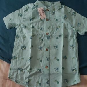 Collar, button down shirt